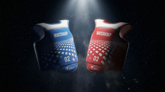 Waychamp Electronic System